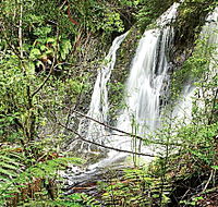 Hogarth Falls - South Australia Travel