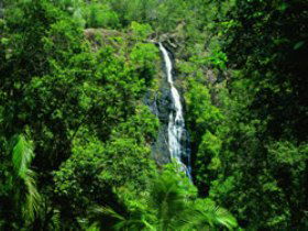 Montville QLD South Australia Travel