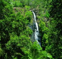Kondalilla National Park - South Australia Travel