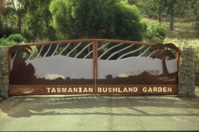 Tasmanian Bushland Garden - South Australia Travel 0