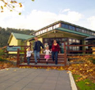 Australian Axeman's Hall of Fame - South Australia Travel