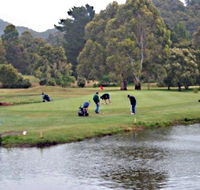 Penguin Golf Course - South Australia Travel