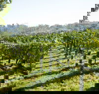 Surveyor's Hill Vineyards - South Australia Travel