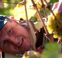 Puddleduck Vineyard - South Australia Travel