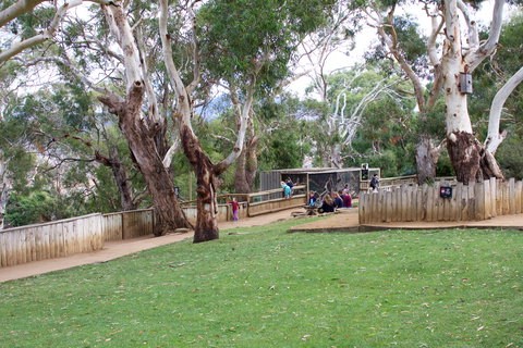Bonorong Wildlife Sanctuary - South Australia Travel 2