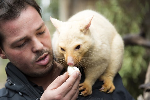 Bonorong Wildlife Sanctuary - South Australia Travel 4