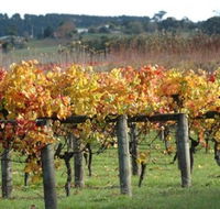 Apsley Gorge Vineyard - South Australia Travel