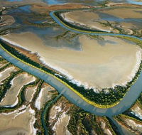 The Wilderness Gallery - South Australia Travel