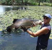 Barra Feeding - South Australia Travel
