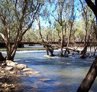 Low Level Nature Reserve - South Australia Travel