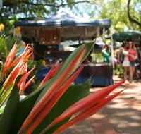 Nightcliff Markets - South Australia Travel