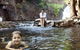 Florence Creek Walk - thumb 0