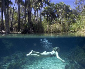 Bitter Springs - South Australia Travel 0