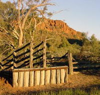 Illamurta Springs Conservation Reserve - South Australia Travel