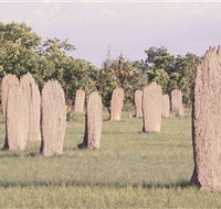 Magnetic Termite Mounds - South Australia Travel