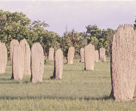 Magnetic Termite Mounds - South Australia Travel 0