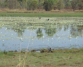 Leaning Tree Lagoon Nature Park - South Australia Travel 0