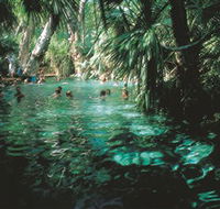 Mataranka Thermal Pool - South Australia Travel