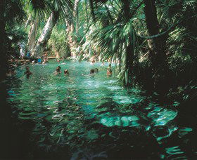 Mataranka Thermal Pool - South Australia Travel 0