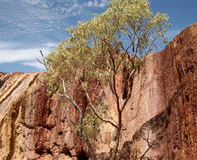 Ochre Pits - South Australia Travel 0