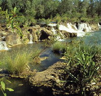 Flora River Nature Park - South Australia Travel
