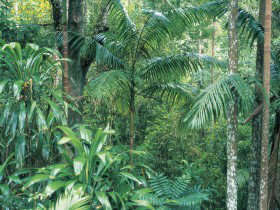 Westside Track, Maiala - South Australia Travel 0