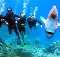 The Aarhus Dive Site - South Australia Travel