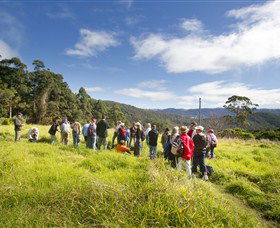 Tallai QLD South Australia Travel