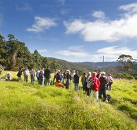 Apple Tree Park - South Australia Travel