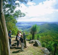 Gold Coast Hinterland Great Walk - South Australia Travel