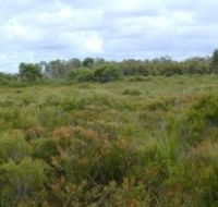 Pine Ridge Conservation Park - South Australia Travel