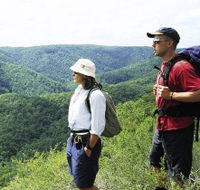 Sunshine Coast Hinterland Great Walk - South Australia Travel
