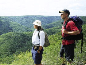 Sunshine Coast Hinterland Great! Walk - South Australia Travel 0