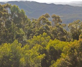 Wootha QLD South Australia Travel
