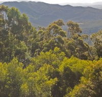 Conondale National Park - South Australia Travel