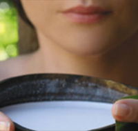 Ikatan Day Spa - South Australia Travel