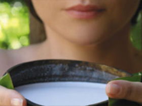 Ikatan Day Spa - South Australia Travel 0