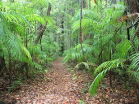Delicia Road Conservation Park - South Australia Travel 0