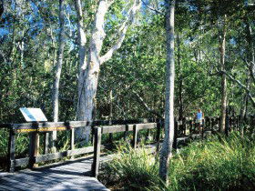 Noosa Heads QLD South Australia Travel