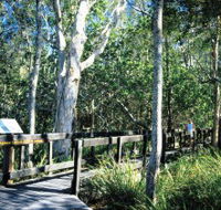 Kinaba Track - South Australia Travel