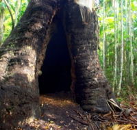 Tewantin National Park - South Australia Travel