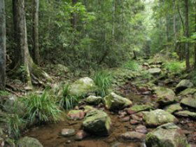 Amamoor QLD South Australia Travel