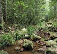 Amamoor State Forest - South Australia Travel