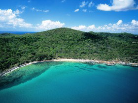 Noosa Heads Coastal Track - South Australia Travel 0