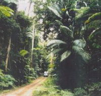 Conondale Great Walk - South Australia Travel