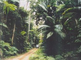 Conondale Great Walk - South Australia Travel 0