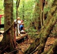 Mary Cairncross Scenic Reserve - South Australia Travel