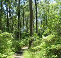 Mapleton Falls National Park - South Australia Travel