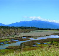 Eubenangee Swamp National Park - South Australia Travel