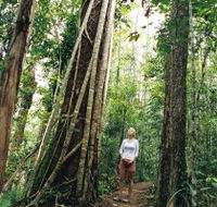 Wet Tropics - South Australia Travel